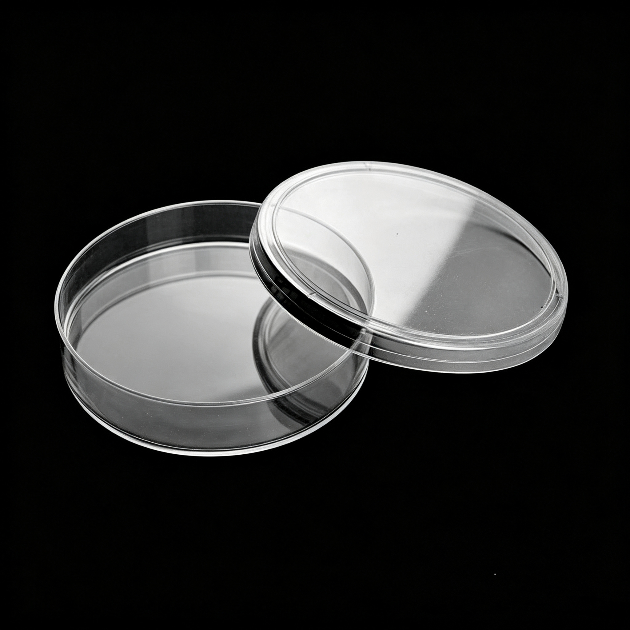 Prepared Plate of Blood Agar Medium